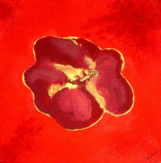 Hibiscus I