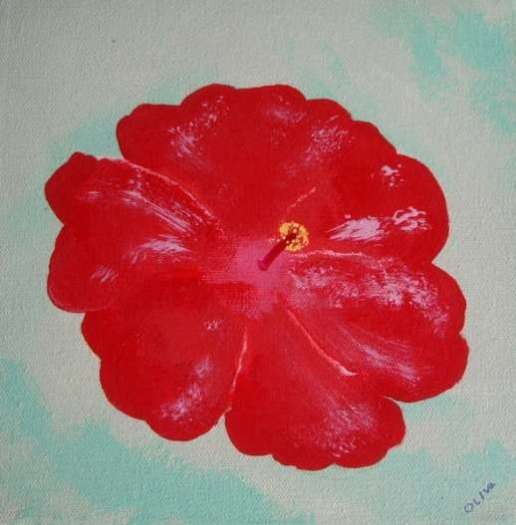 Hibiscus IV