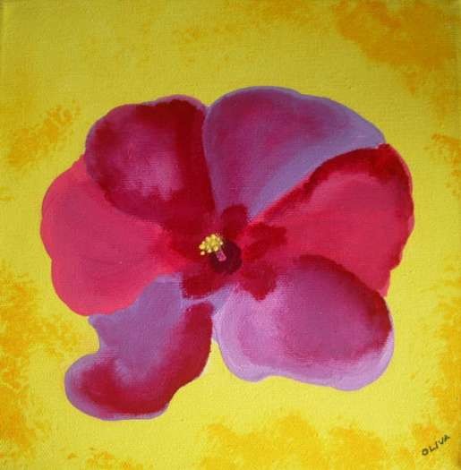 Hibiscus V