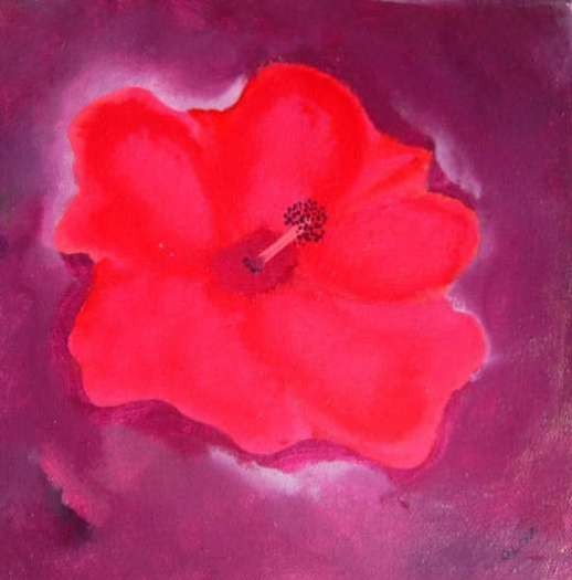 Hibiscus VI