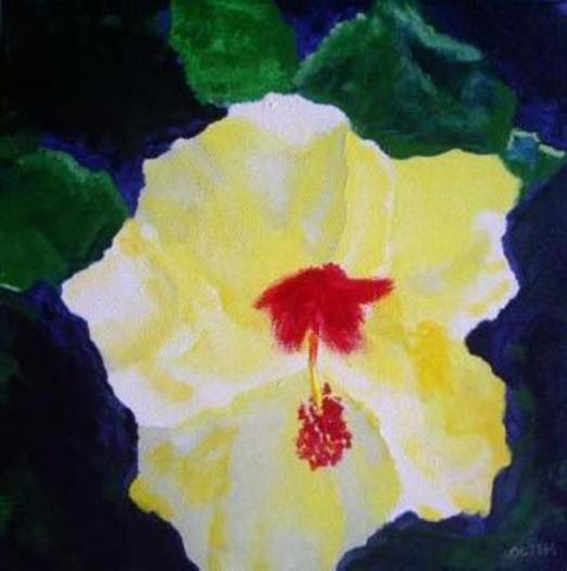 Hibiscus VII
