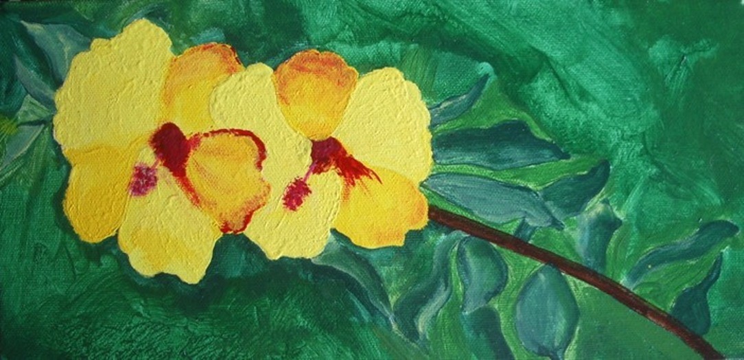 Hibiscus XII