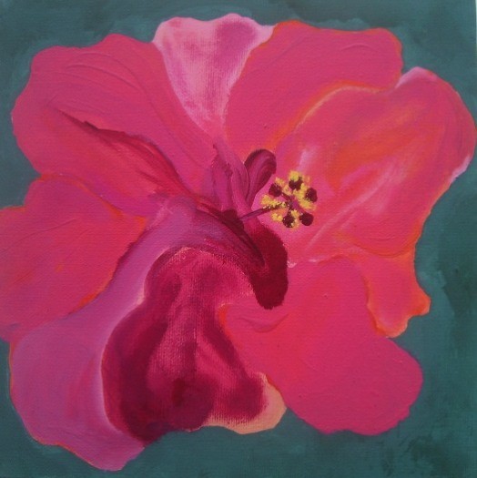 Hibiscus XIII