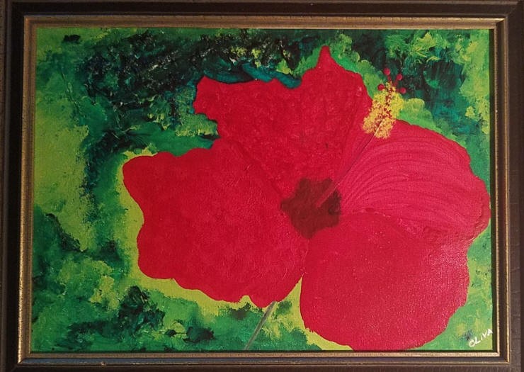 Hibiscus XIV