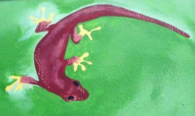 Gecko II